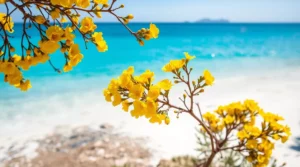 primavera en cerdeña experiencias inolvidables y consejos para sus vacaciones